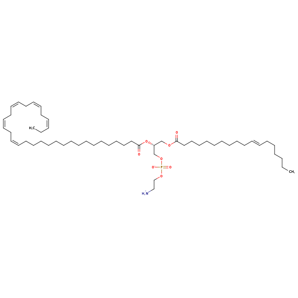 Image of MNXM190367