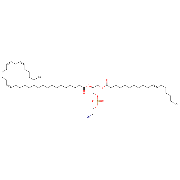 Image of MNXM190381