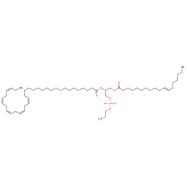 Image of MNXM190487