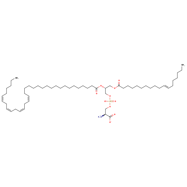 Image of MNXM190499