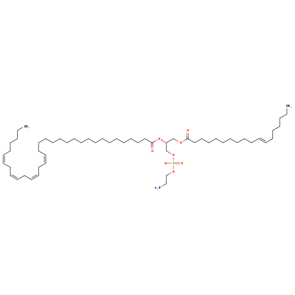 Image of MNXM190501