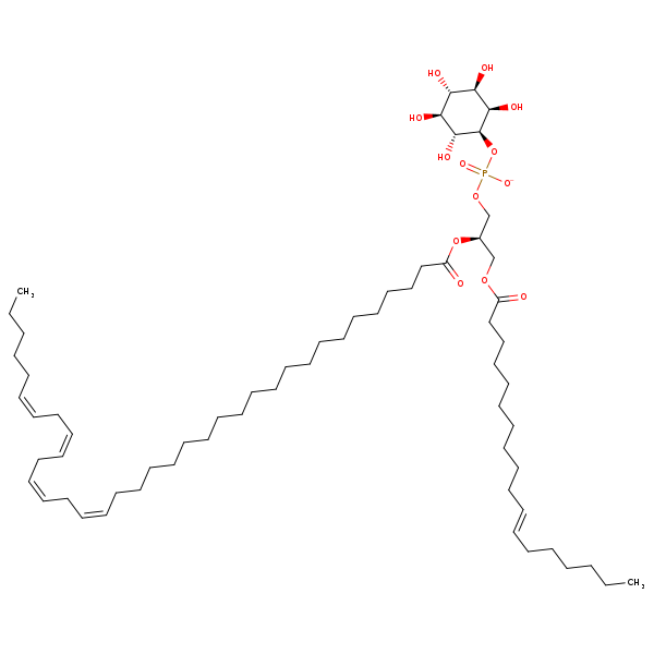 Image of MNXM190533