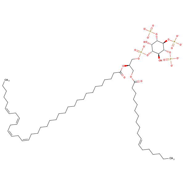 Image of MNXM190534