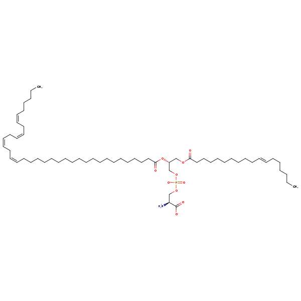 Image of MNXM190541