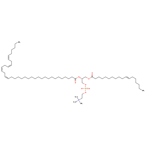 Image of MNXM190542