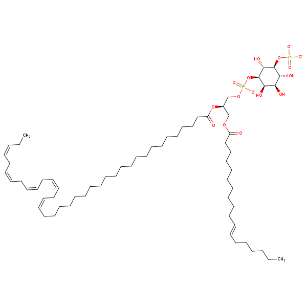 Image of MNXM190554