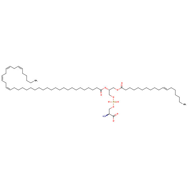Image of MNXM190569