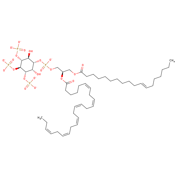 Image of MNXM190881