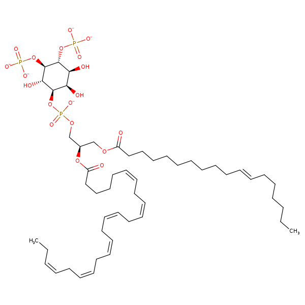 Image of MNXM190885