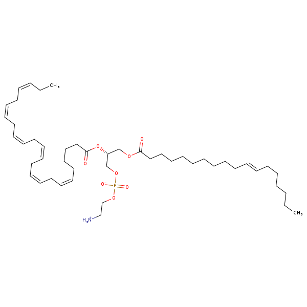 Image of MNXM190890