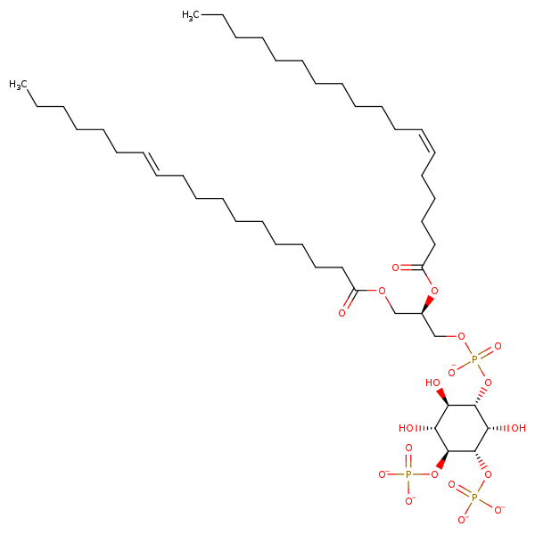 Image of MNXM191202