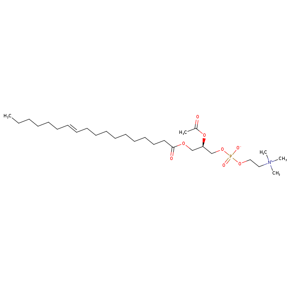 Image of MNXM192085