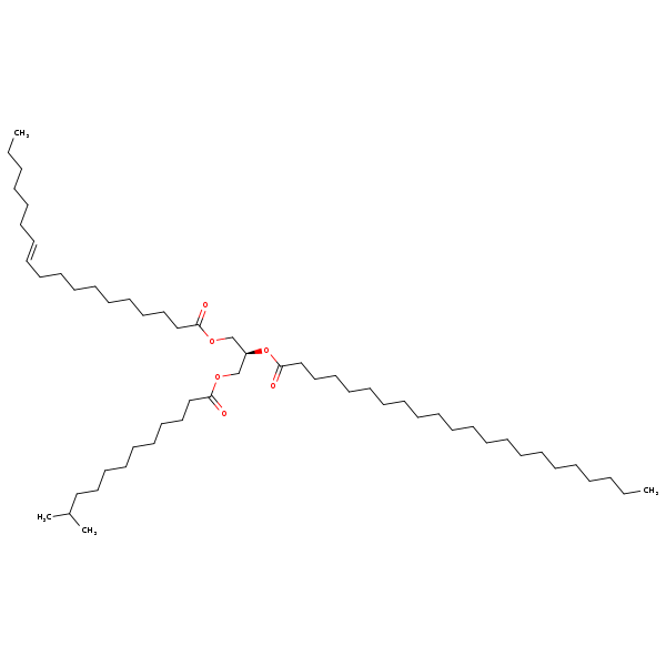 Image of MNXM192116