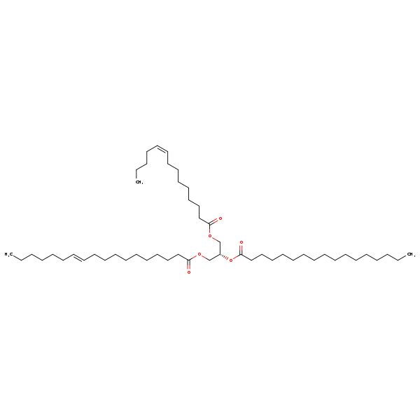 Image of MNXM192404