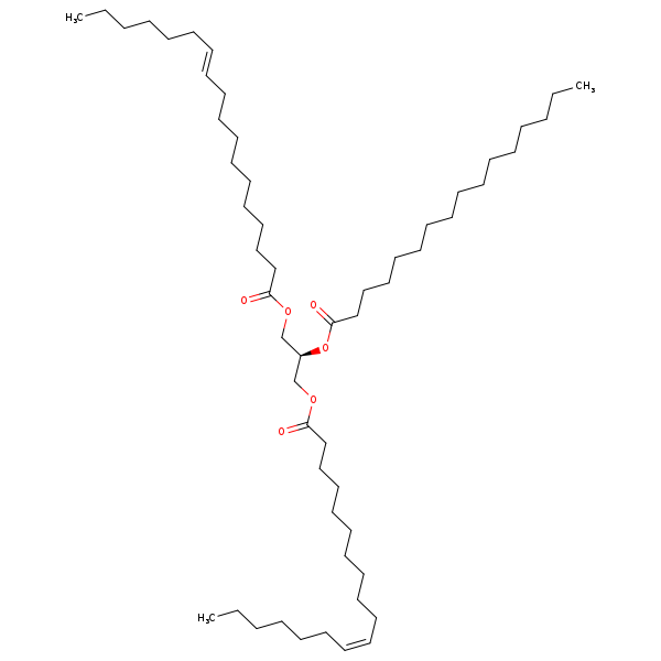 Image of MNXM192504