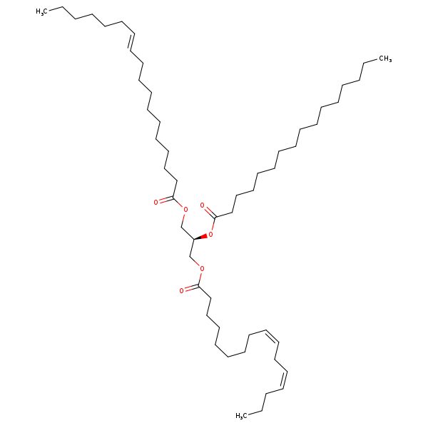 Image of MNXM192529