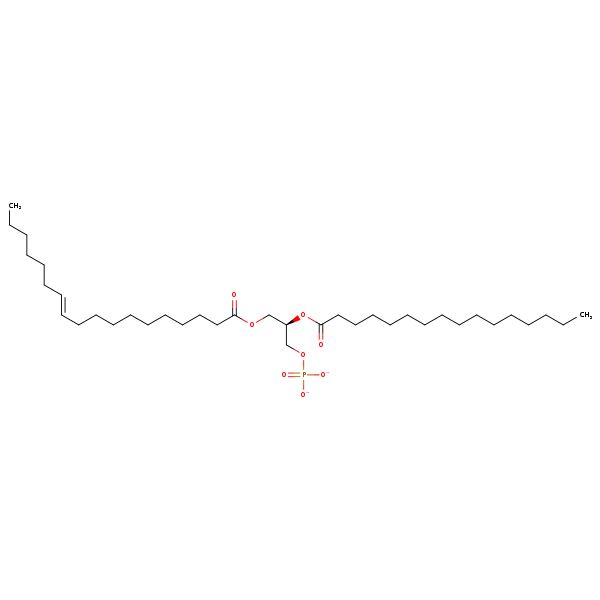 Image of MNXM192548