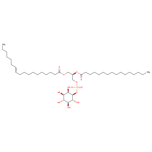 Image of MNXM192551