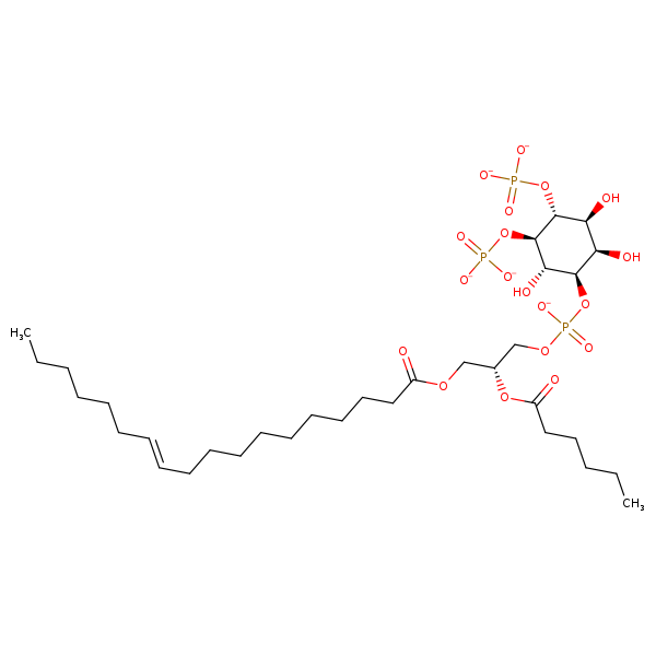 Image of MNXM192570