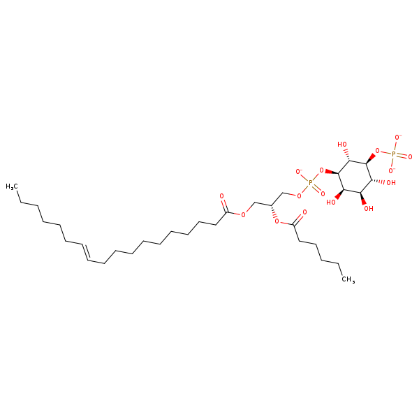 Image of MNXM192572