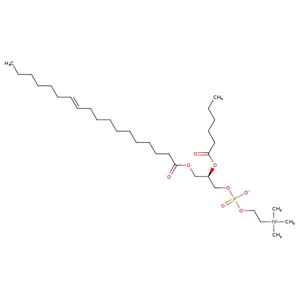 Image of MNXM192574
