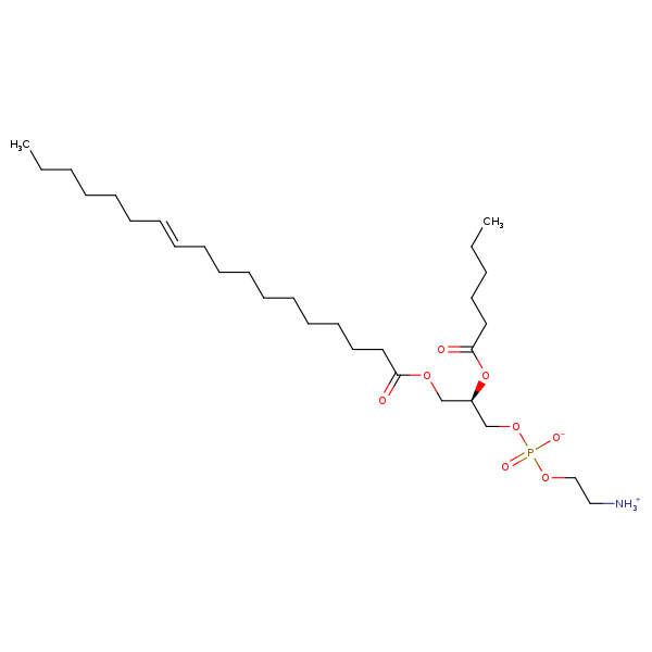 Image of MNXM192575