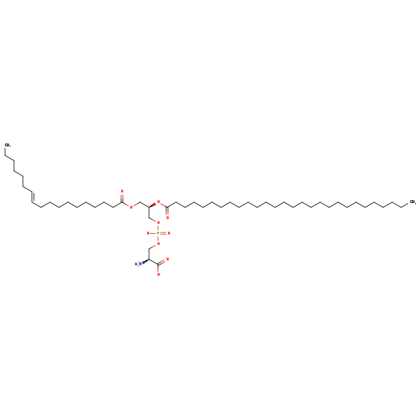 Image of MNXM192701