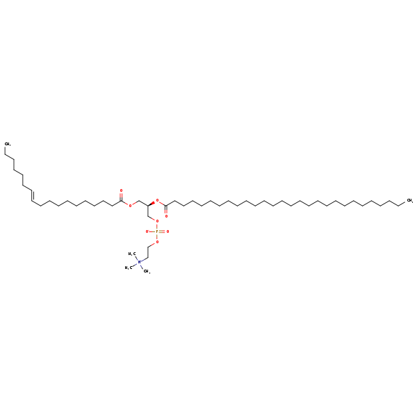 Image of MNXM192702