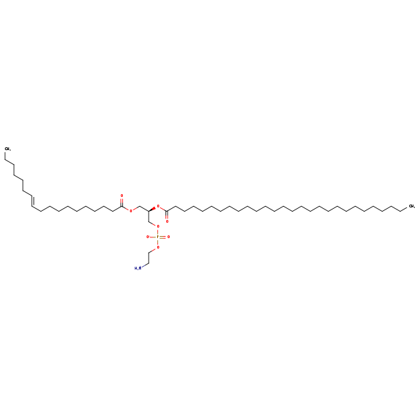 Image of MNXM192703