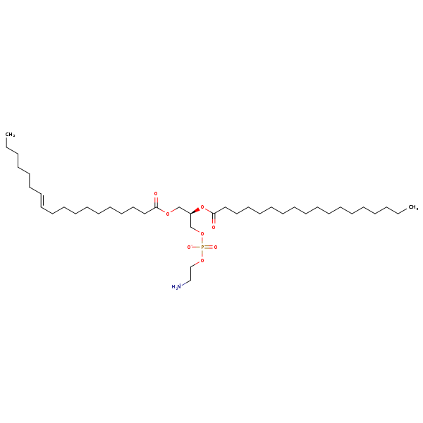 Image of MNXM192767