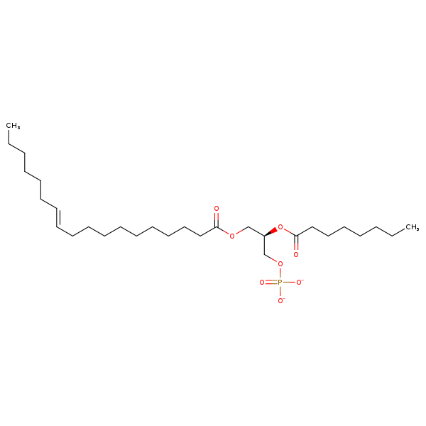 Image of MNXM192769