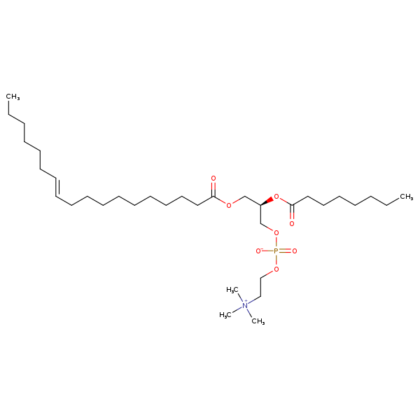 Image of MNXM192781