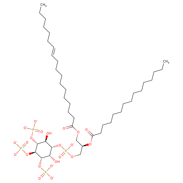 Image of MNXM192837