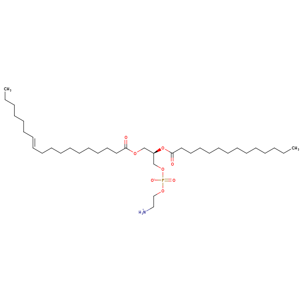 Image of MNXM192988