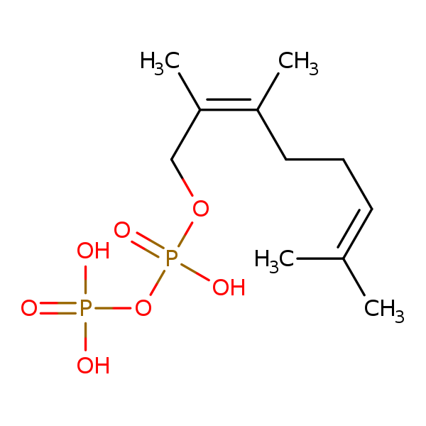 Image of MNXM21039