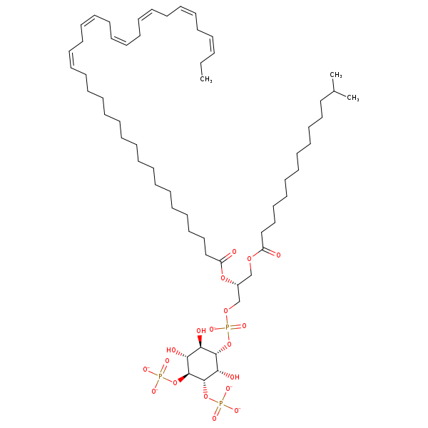 Image of MNXM213035
