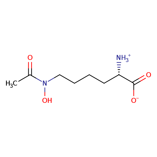 Image of MNXM2135
