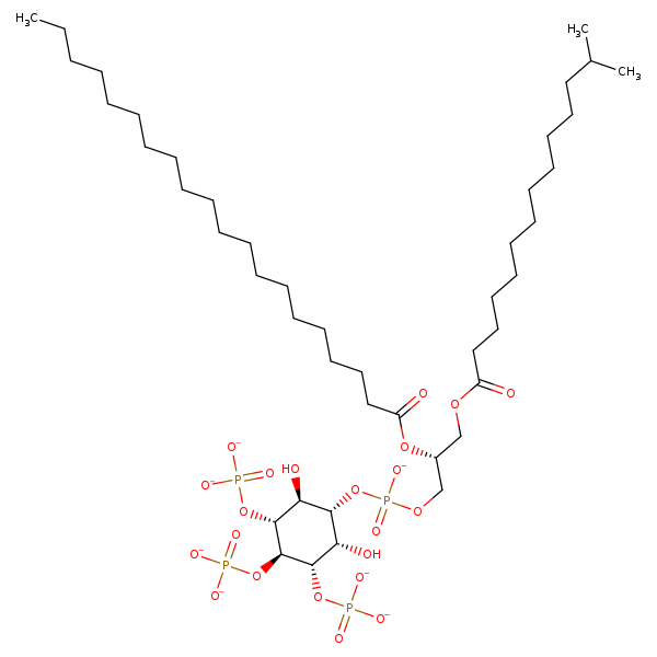 Image of MNXM214880