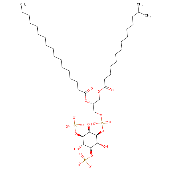 Image of MNXM215012