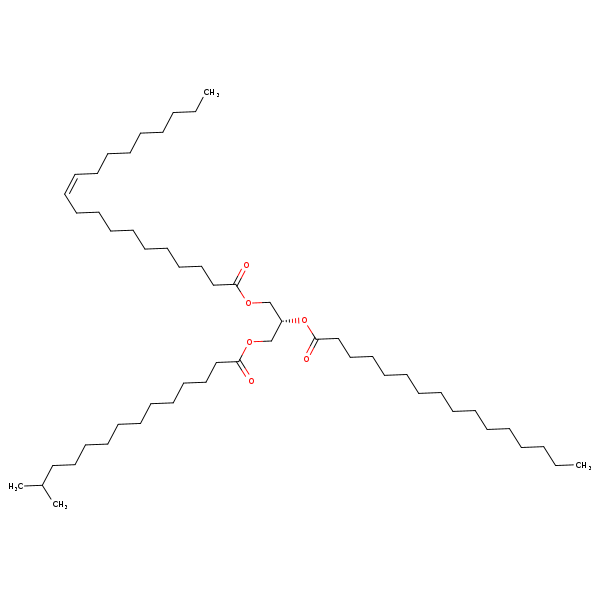Image of MNXM215090