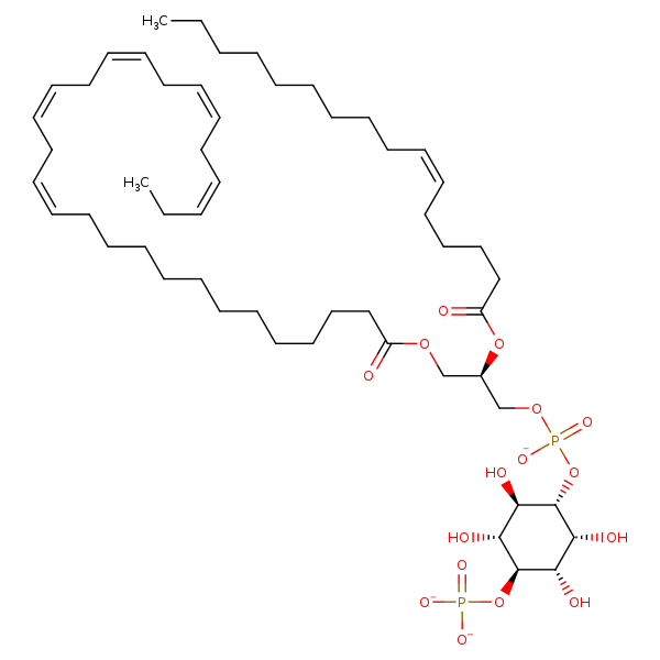 Image of MNXM216402