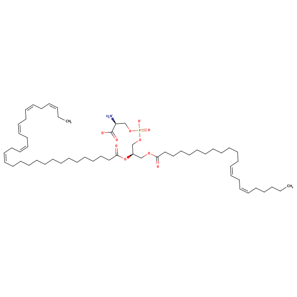 Image of MNXM218842