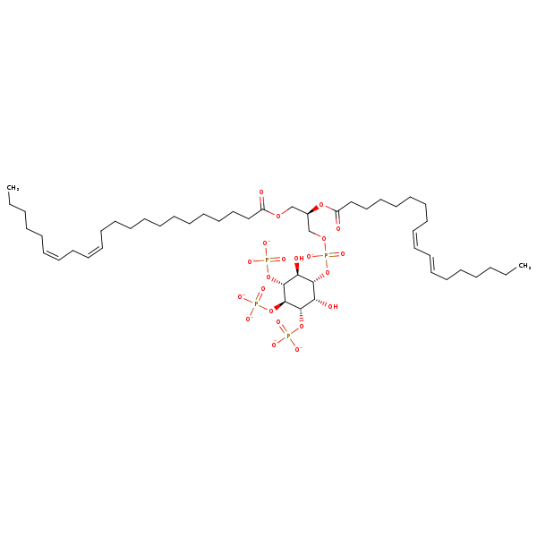 Image of MNXM220004