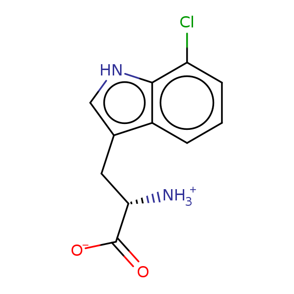 Image of MNXM2206
