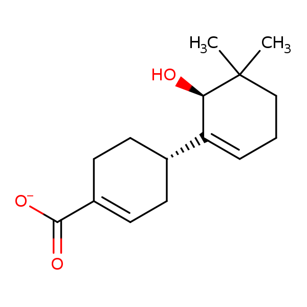 Image of MNXM22482