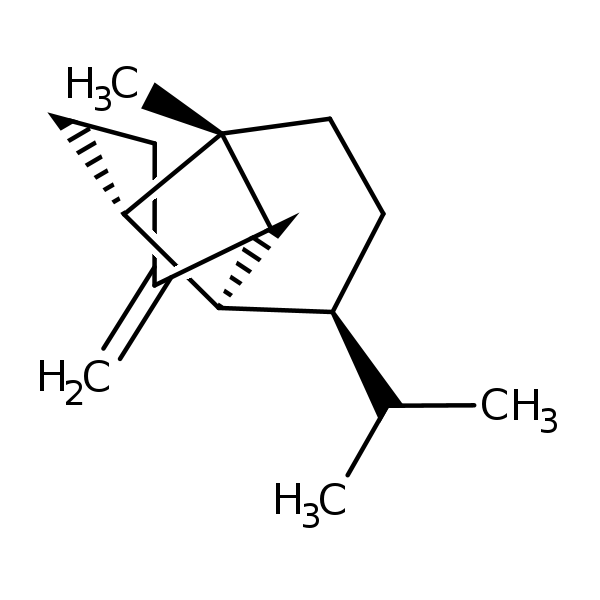 Image of MNXM22503