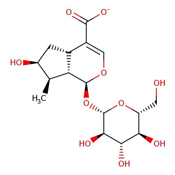 Image of MNXM2252