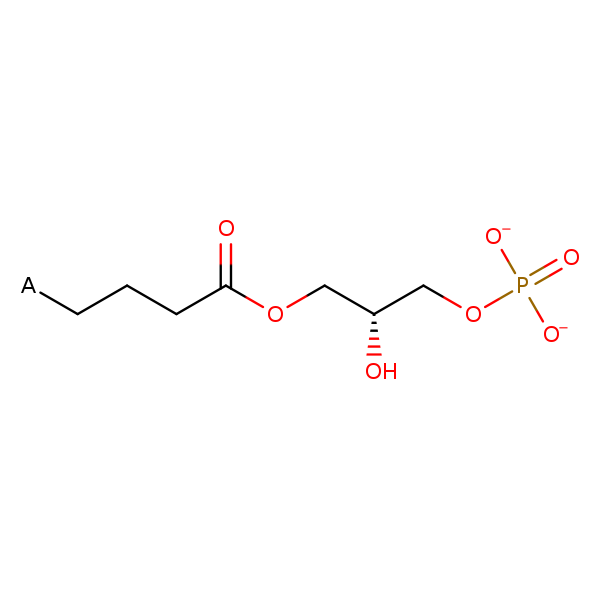 Image of MNXM226
