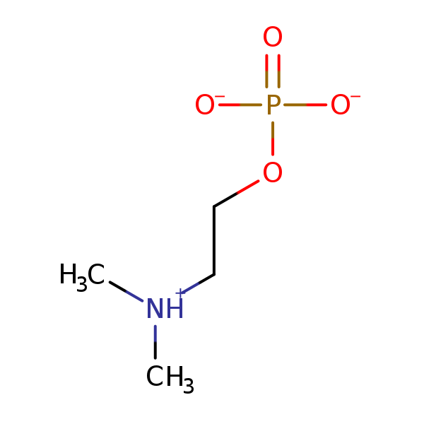 Image of MNXM2261