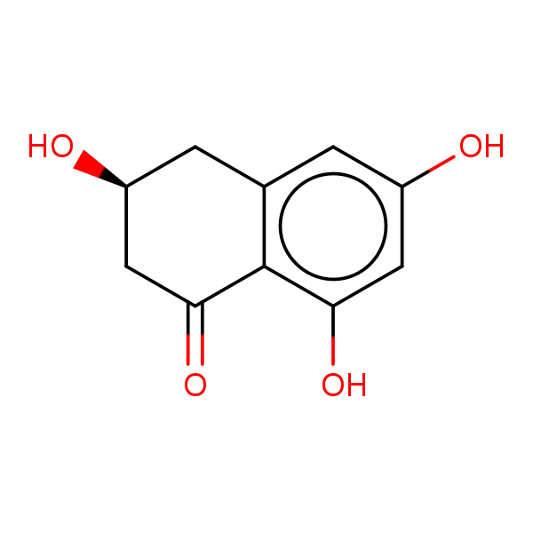 Image of MNXM2281